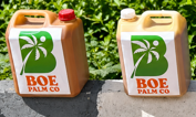 Household Retail Palm Oil